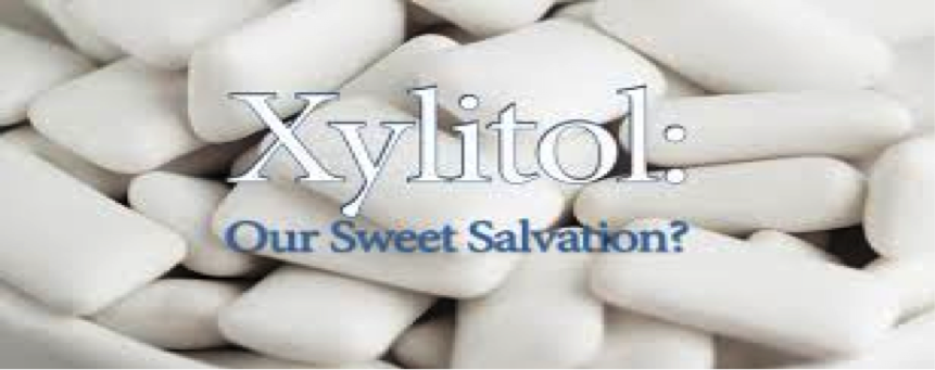 Xylitol for Healthy Teeth